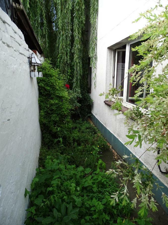 Mur 4 - Apartament Z Patio Torun Exterior photo